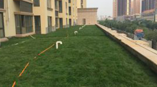 金域华府住宅小区屋顶绿化